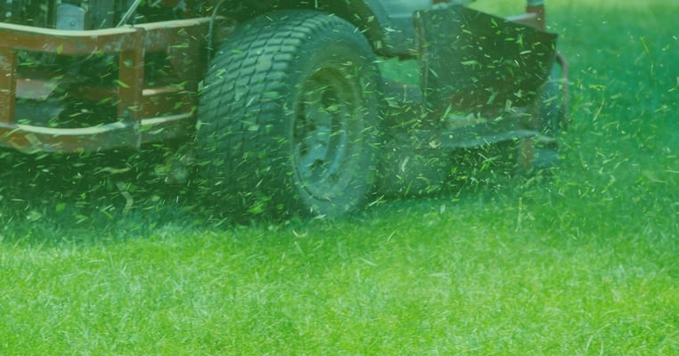 Which mower is right for you? Take our quiz and find out.